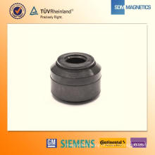 Anisotropic Ferrite Injection Magnet